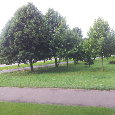 Timeline: Tallinn 2013