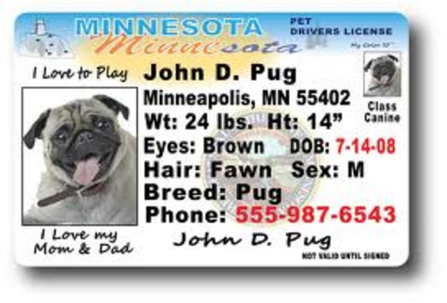 J'ai reçu mon permis de conduire