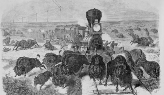 End of The Buffalo Herds