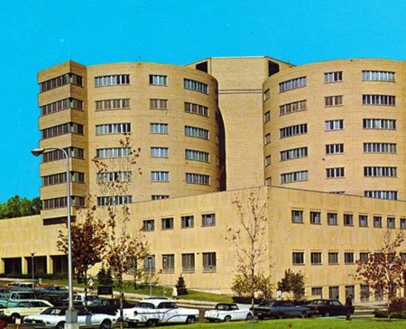 Je me suis donne un coup de blessure à la puces