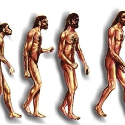 Timeline: La Evolución del Hombre
