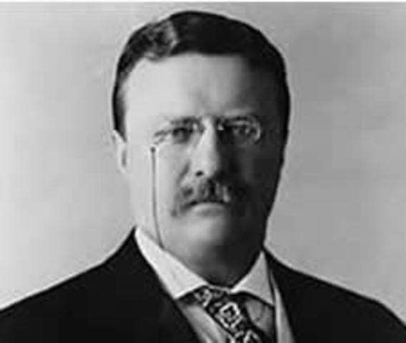 Theodore Roosevelt becomes president