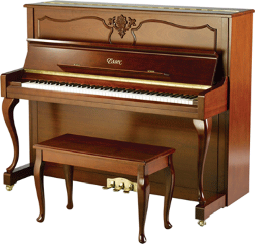 J'ai suivu la classe du piano.