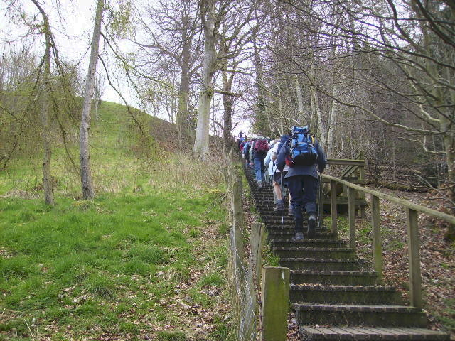 Day 29 - 34 - Walking