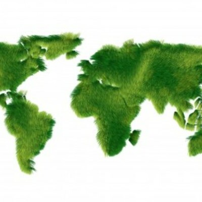 Timeline: Case Study for Greenpeace