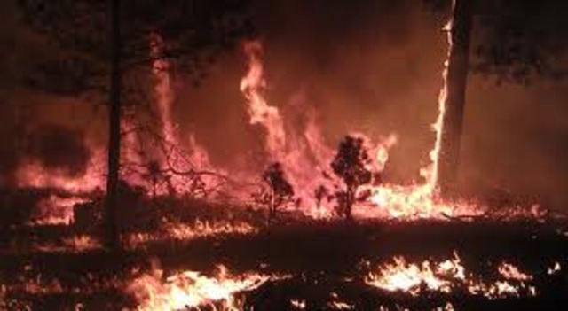 Wildfires Spread in New Mexico and Colorado