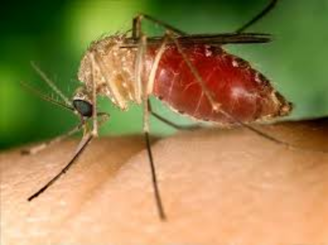 West Nile Deaths in Texas