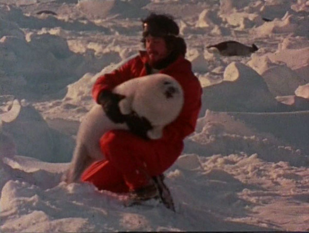 Seal Hunting Movement