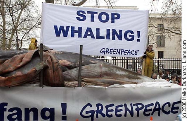 Animal Rights / Protection