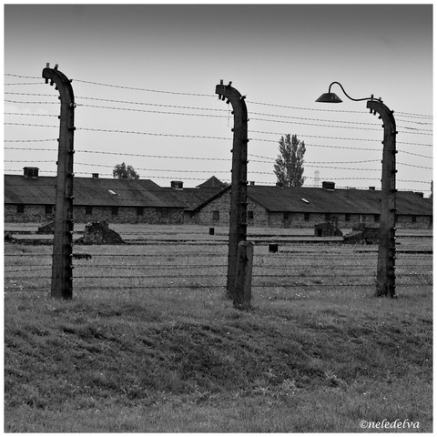 Himmer laat de gaskamers en crematoria in Auschwitz vernietigen
