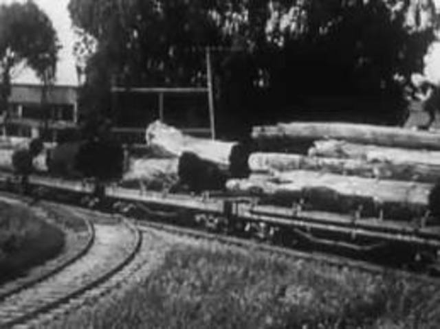 Nine Saw Mills are Producing Lumber In Humboldt