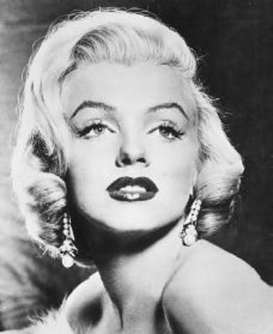 Marylin signed a stadio contract.
