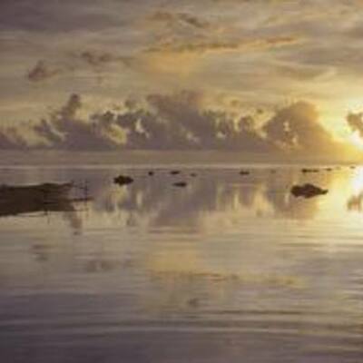 Timeline: 2012 A Year in Review