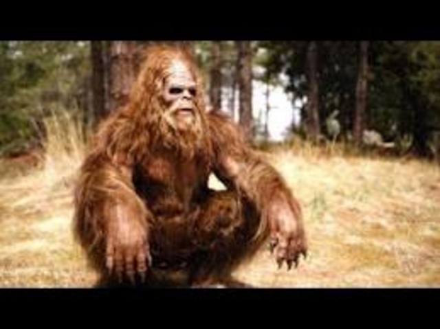 Bigfoot Hoax Turns Deadly: Montana Man Dressed as Sasquatch to Provoke Sightings Struck and Killed by Car