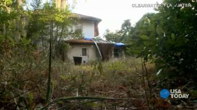 Neighbors Fear Coyotes Have Taken Over Vacant Mansion