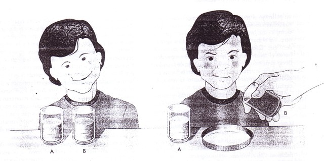 etapa preoperatoria, Conservación del número Estadio 1 (4-5años)