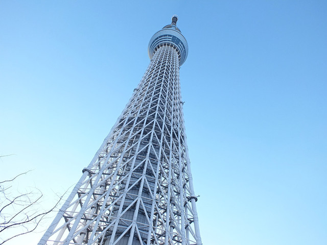 SkyTree