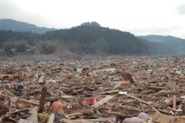 The March 11 earthquake and tsunami affect Starbucks