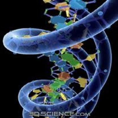 Timeline: Desarollo de la teoria de la evolución