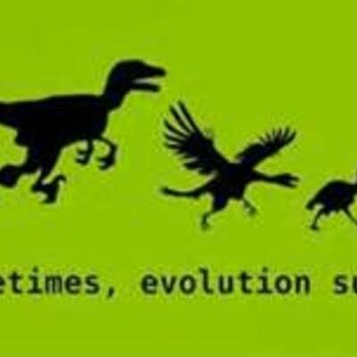 Timeline: EVOLUTION (by: Jonah Pearce, Lillie Chapin, Kim Brunney)