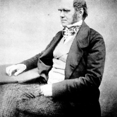 Timeline: Evolution Timeline