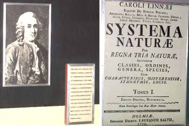 Linneo y el Systema Naturae.
