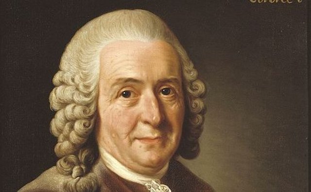 Clasificación y evolución (Linneo)