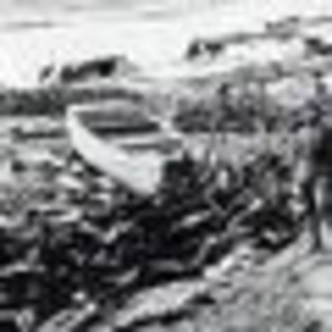 Japan’s army pillages Nanjing, China; massacre a quarter of a million people.