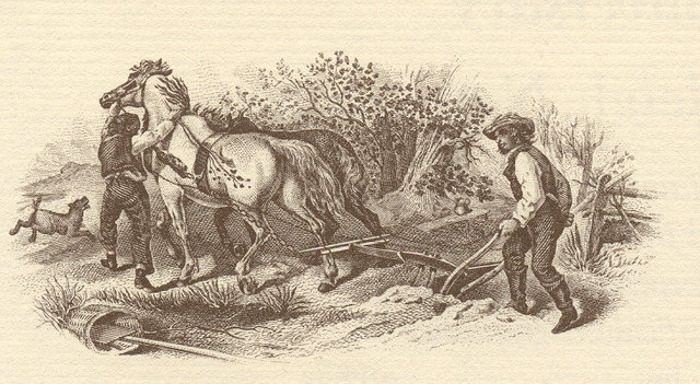 Farmers in America Required to Grow Hemp