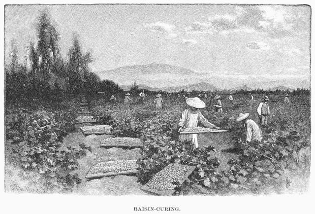 Began Working in Fields and Factories to Support Family