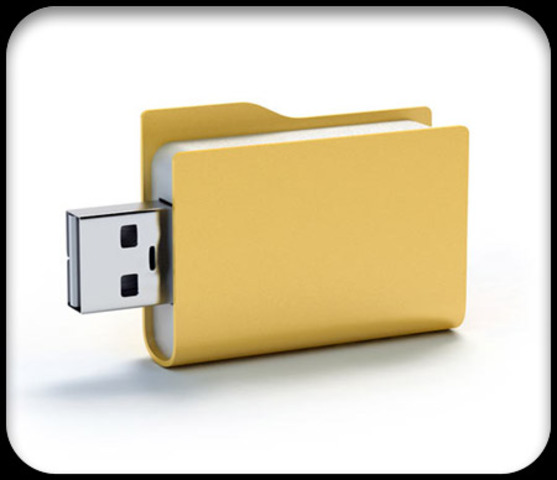 Flash Drive (USB Device)
