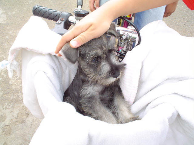 La fecha en que nació Lara.