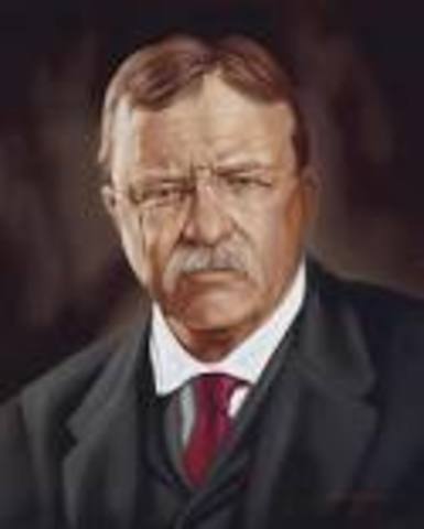 Theodore Roosevelt gets elected