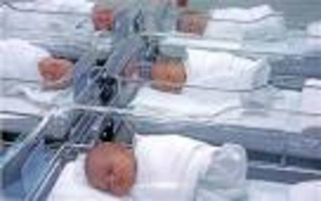 intellectual more alert