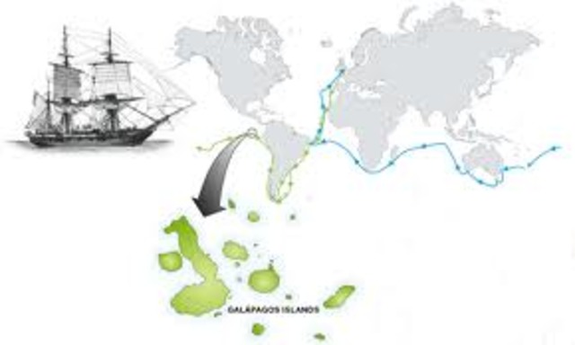 Beagle Voyage begins