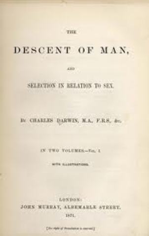 Descent of Man