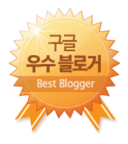 구글 우수블로거 대상 수상