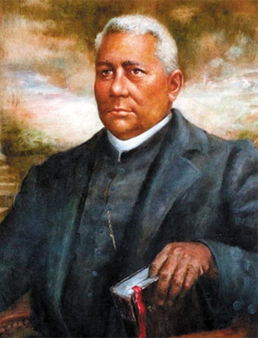 Henry McNeal Turner elected to senate