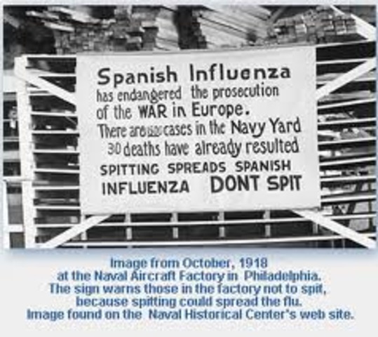 Worldwide Spanish Flu Epidemic