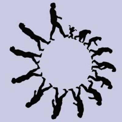 Timeline: DESARROLLO DE LA TEORÍA DE LA EVOLUCIÓN