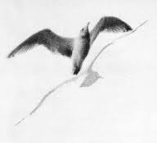 The Speed of Thought