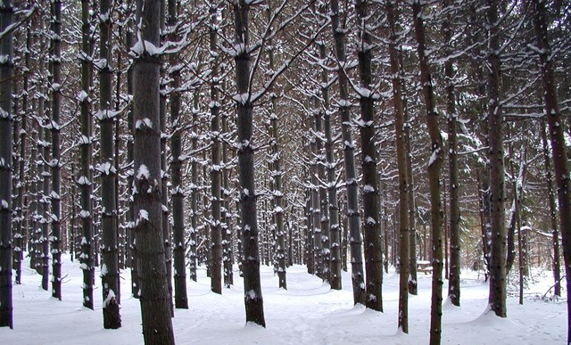 The Winter of Our Discontent Was Published