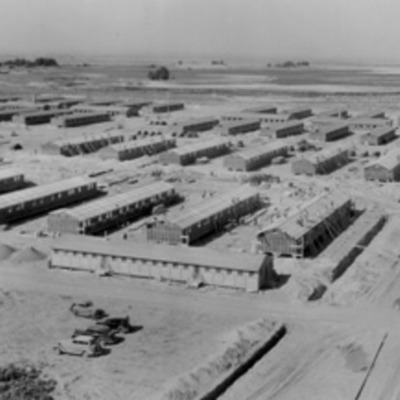 Timeline: japanese internment dallin peter