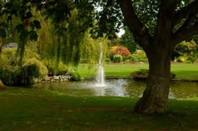 The place Morrie picked to be buried