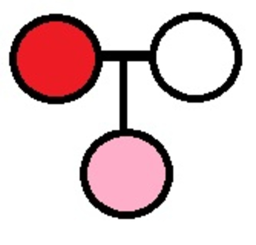 Inici de l'estudi de l'herència