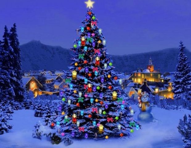 Christmas at the Fort