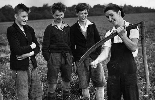 More Money for the Farmers