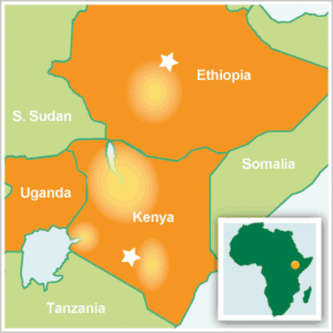 Privatization of energy in Kenya and Ethiopia