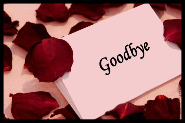 The Fourteenth Tuesday: We Say Goodbye