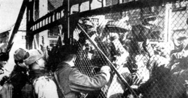 Röda armén befriar Auschwitz.